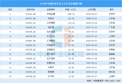 <strong>2024年中国商业行业上市公司市值排行榜（</strong>